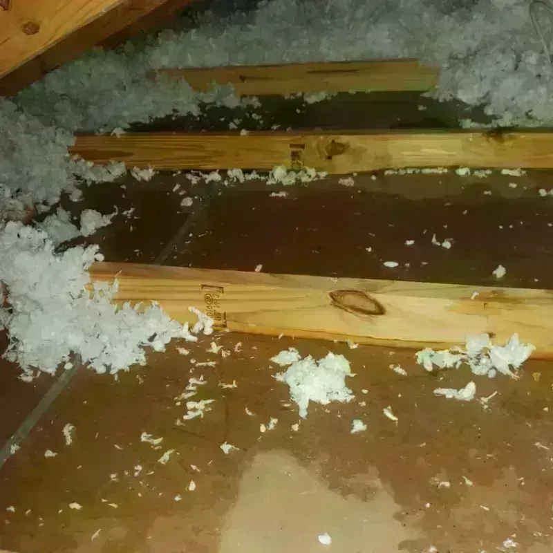 Attic Water Damage in Louisa, KY